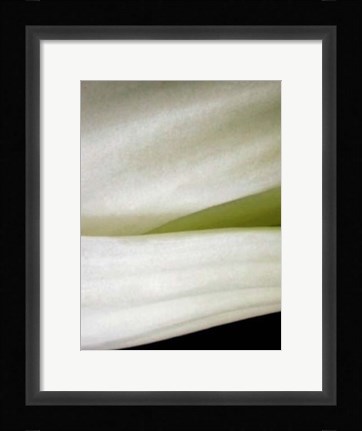 Framed Bok Choy II Print