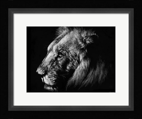 Framed Wildlife Scratchboards I Print