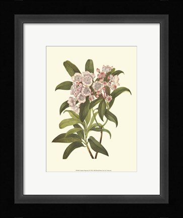 Framed Garden Potpourri I Print