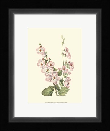 Framed Garden Potpourri VI Print