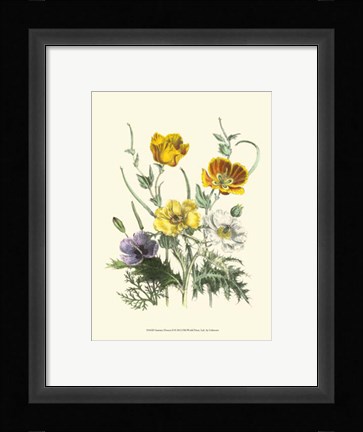Framed Summer Flowers II Print