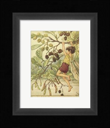 Framed Alder Fairy Print