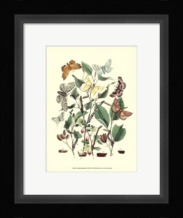 Framed Garden Butterflies III Print