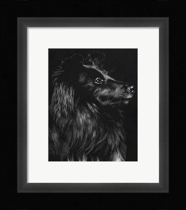 Framed Canine Scratchboard VI Print