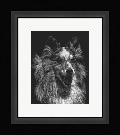 Framed Canine Scratchboard VIII Print