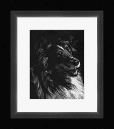 Framed Canine Scratchboard XI Print