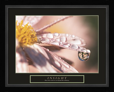 Framed Insight - Dewdrop Print