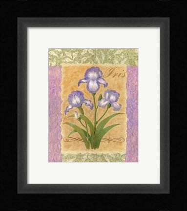 Framed Sweet Iris Print
