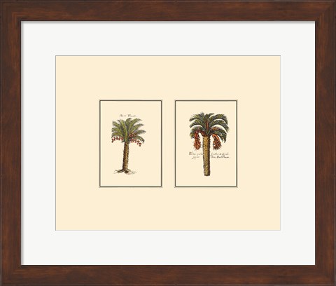 Framed Miniature Palm IV Print