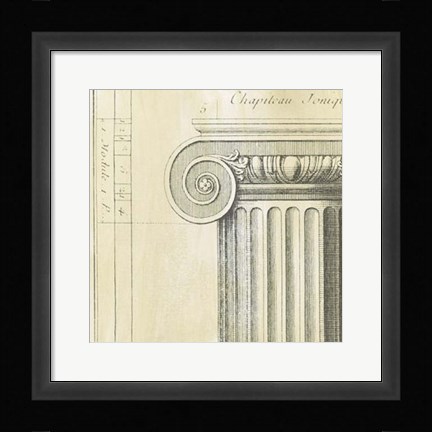 Framed Decorative Elegance II Print