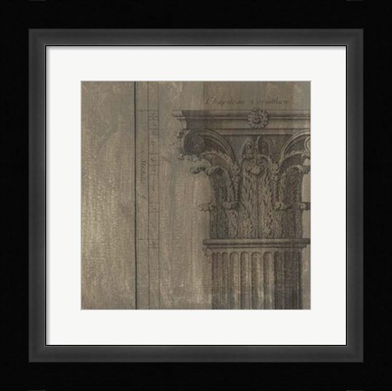 Framed Decorative Elegance VIII Print