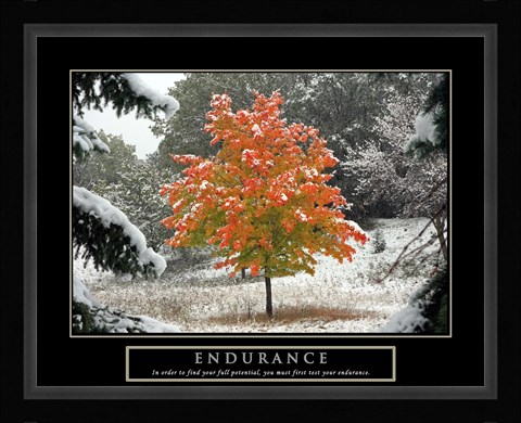 Framed Endurance - Fall Tree Print