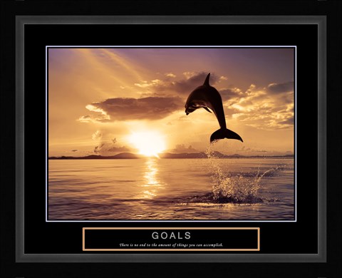 Framed Goals - Dolphins Print