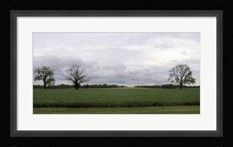 Framed Calm Before The Storm I Print