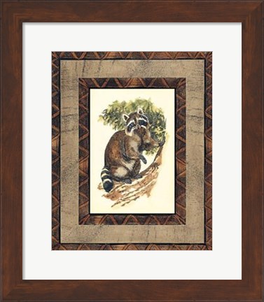 Framed Rustic Raccoon Print