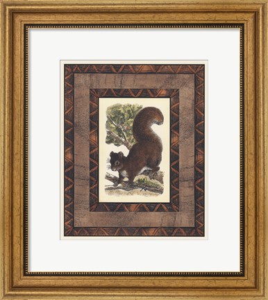 Framed Rustic Squirrel Print