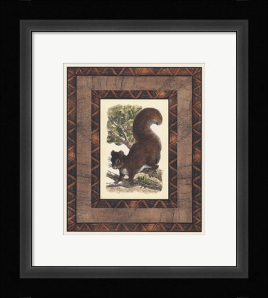 Framed Rustic Squirrel Print