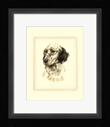 Framed Setter Print
