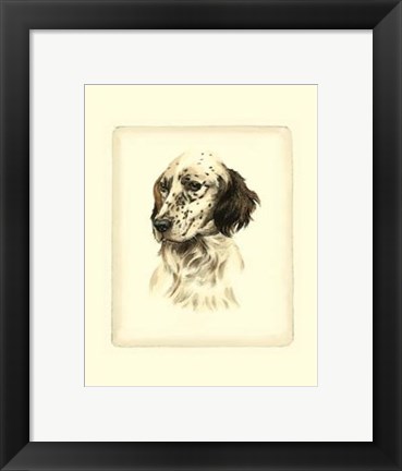 Framed Setter Print
