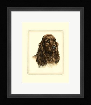 Framed Red Cocker Spaniel Print
