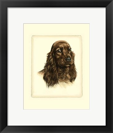 Framed Red Cocker Spaniel Print