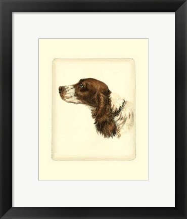 Framed Cocker Spaniel Print