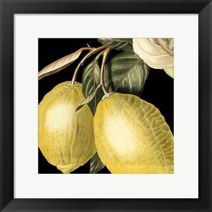 Framed Dramatic Lemon Print
