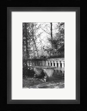 Framed Garden Grace III Print