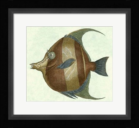Framed Angel Fish II Print
