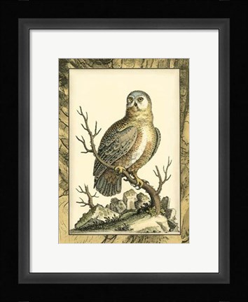 Framed Majestic Perch I Print