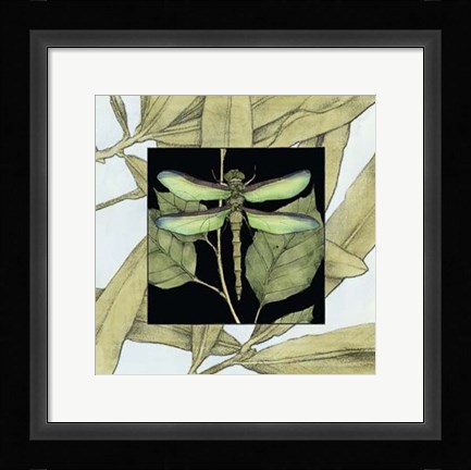 Framed Dragonfly Inset II Print