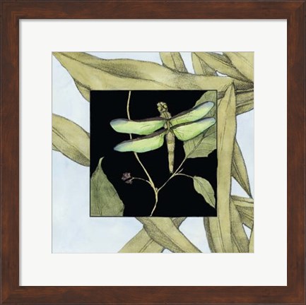 Framed Dragonfly Inset III Print