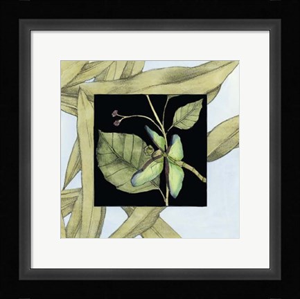 Framed Dragonfly Inset VI Print