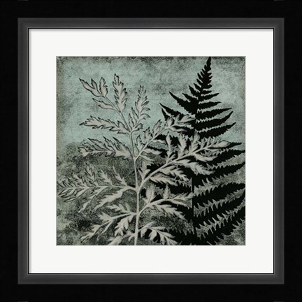 Framed Illuminated Ferns IV Print