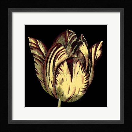 Framed Dramatic Blooms V Print