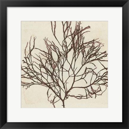 Framed Brilliant Seaweed II Print