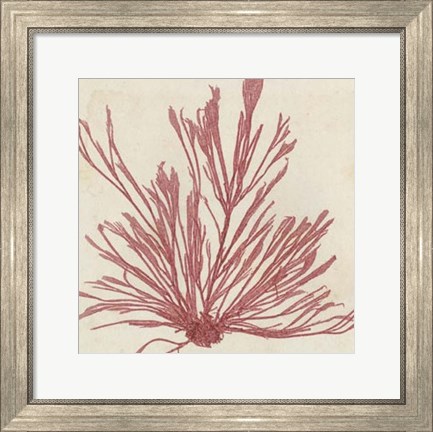 Framed Brilliant Seaweed IX Print