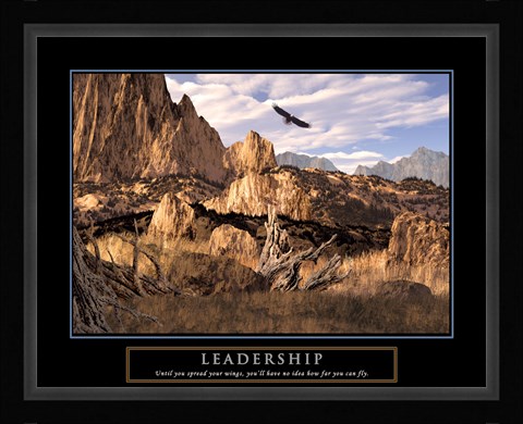 Framed Leadership-Eagle Print