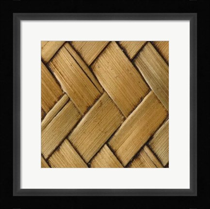 Framed Nature's Textures VI Print