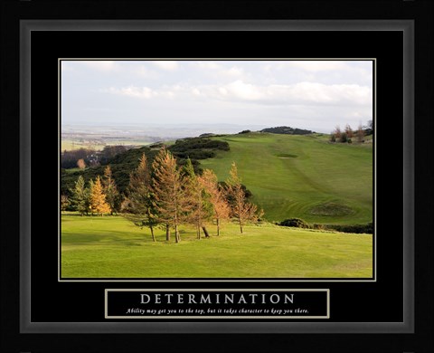 Framed Determination-Golf Print