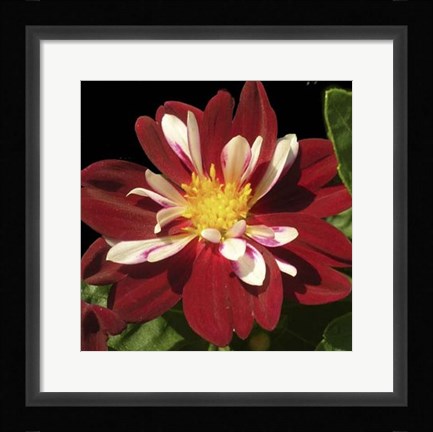 Framed Summer Evening III Print