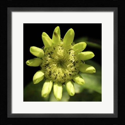 Framed Summer Evening IV Print