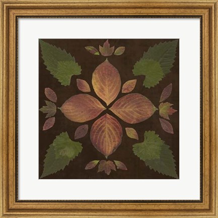 Framed Kaleidoscope Leaves III Print