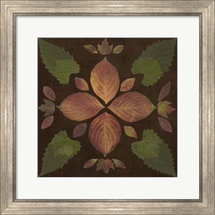 Framed Kaleidoscope Leaves III Print