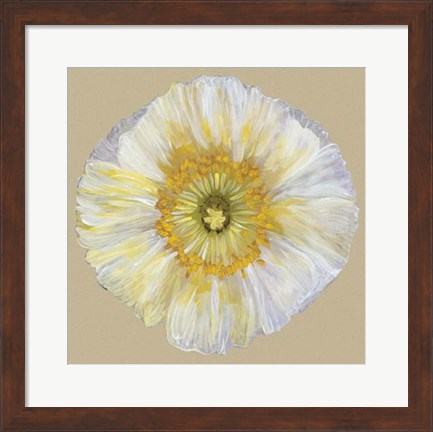 Framed Poppy Blossom II Print