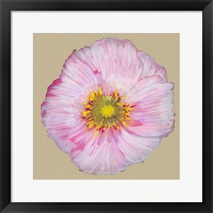 Framed Poppy Blossom III Print