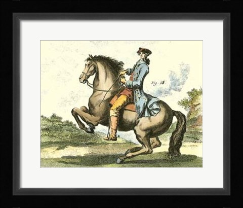 Framed Equestrian Training IV Print