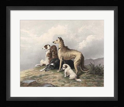 Framed Highland Dogs Print