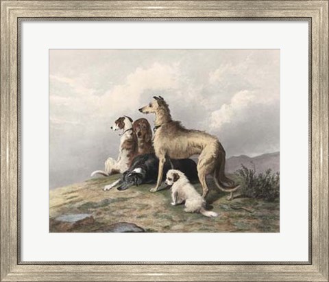 Framed Highland Dogs Print