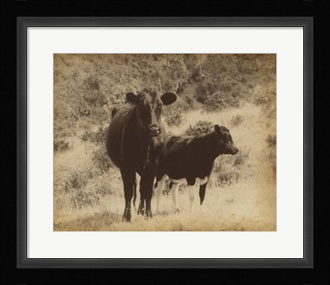 Framed Lone Star Cows I Print
